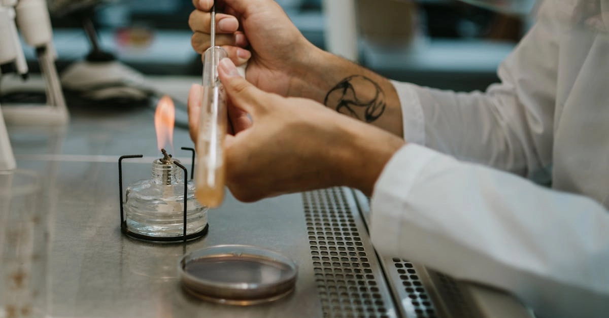 Детальный анализ слот-механик игрового автомата Chilli Heat